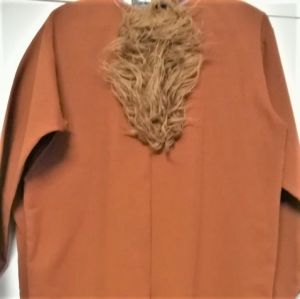 Kids Costumes to Hire - Lion or Beast Onesie BIG with Hair Chest & Headpiece - 2pce